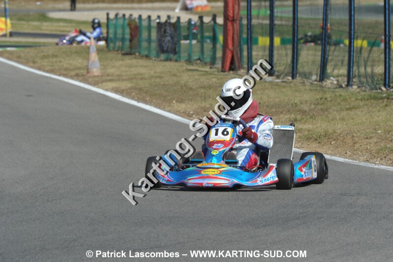 DSC_ (1550).JPG